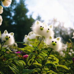 Amazing Plants! Cat's eye dazzle seeds×Cute Pig