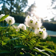 Amazing Plants! Cat's eye dazzle seeds×Cute Pig