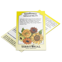 Infrared Mix Sunflower