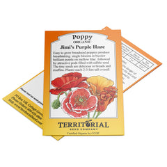Jimi's Purple Haze Poppy