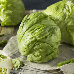 Lettuce Seeds - Iceberg