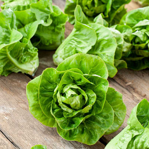 Lettuce Seeds (Organic) - Little Gem