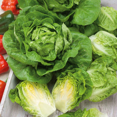 Lettuce Seeds (Organic) - Little Gem