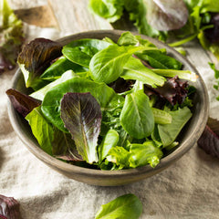 Lettuce Seeds - Tricolor Romaine Mix