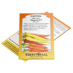 Negovia Carrot