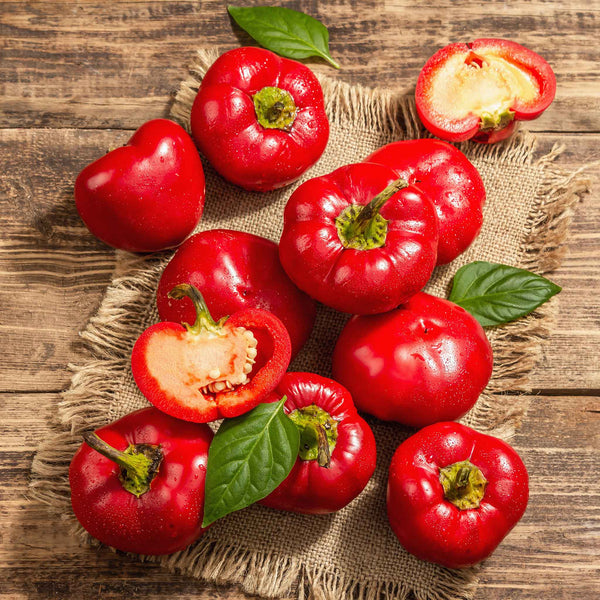 Sweet Pepper Seeds - Alma Paprika