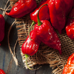 Hot Pepper Seeds - Bhut Jolokia / Ghost