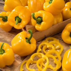 Sweet Pepper Seeds - California Wonder Yellow