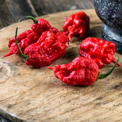 Hot Pepper Seeds - Carolina Reaper