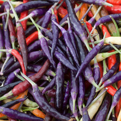 Hot Pepper Seeds - Cayenne Purple