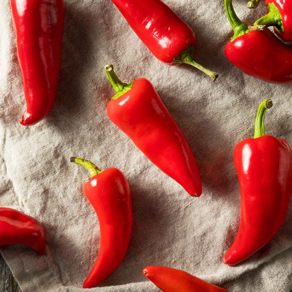 Hot Pepper Seeds - Fresno Chile