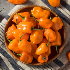 Hot Pepper Seeds - Habanero Orange