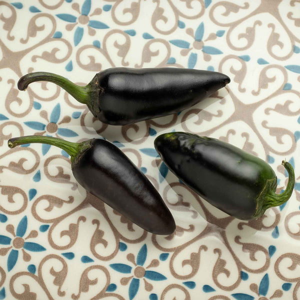 Hot Pepper Seeds - Jalapeno Purple