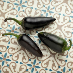 Hot Pepper Seeds - Jalapeno Purple