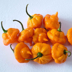 Hot Pepper Seeds - Jamaican Hot Yellow