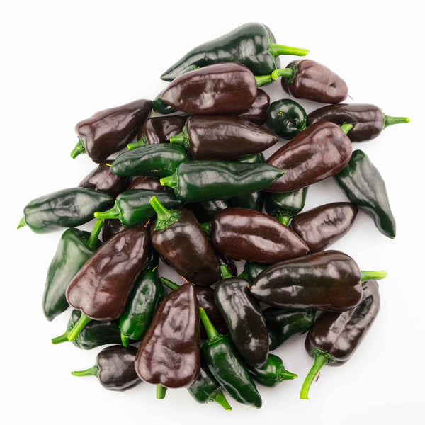 Hot Pepper Seeds - Mulato Isleno