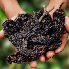 Hot Pepper Seeds - Mulato Isleno