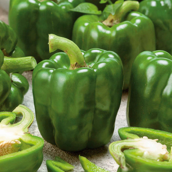 Sweet Pepper Seeds (Organic) - Emerald Giant