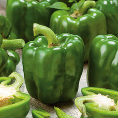 Sweet Pepper Seeds (Organic) - Emerald Giant