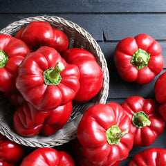 Sweet Pepper Seeds - Pimento