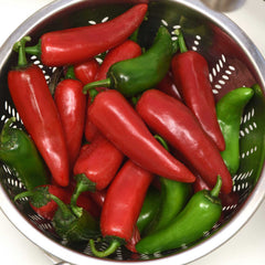 Hot Pepper Seeds - Pot-a-Peno