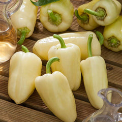 Sweet Pepper Seeds - White Bell