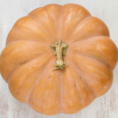 Pumpkin Seeds - Fairytale