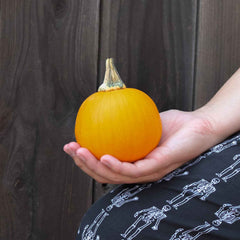 Pumpkin Seeds - Kandy Korn Plus