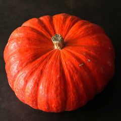 Pumpkin Seeds - Rouge Vif d'Etampes