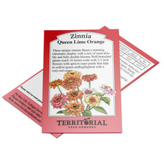 Queen Lime Orange Zinnia