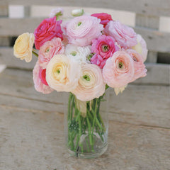 Bridal Mix Ranunculus Corms Bulbs Persian Buttercup Growing Bonsai Roots Rhizomes Tubers Potted Planting Reblooming Fragrant Garden Species Blooms Flower Seeds Plant Gardening
