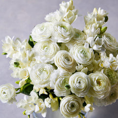 White Mix Ranunculus Corms Bulbs Persian Buttercup Growing Bonsai Roots Rhizomes Tubers Potted Planting Reblooming Fragrant Garden Species Blooms Flower Seeds Plant Gardening