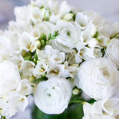 White Mix Ranunculus Corms Bulbs Persian Buttercup Growing Bonsai Roots Rhizomes Tubers Potted Planting Reblooming Fragrant Garden Species Blooms Flower Seeds Plant Gardening