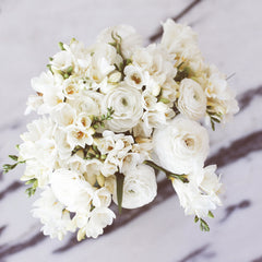 White Mix Ranunculus Corms Bulbs Persian Buttercup Growing Bonsai Roots Rhizomes Tubers Potted Planting Reblooming Fragrant Garden Species Blooms Flower Seeds Plant Gardening