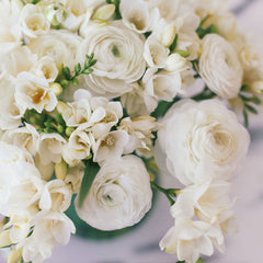 White Mix Ranunculus Corms Bulbs Persian Buttercup Growing Bonsai Roots Rhizomes Tubers Potted Planting Reblooming Fragrant Garden Species Blooms Flower Seeds Plant Gardening