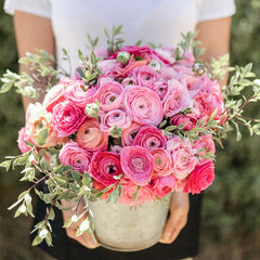 Pink Confetti Mix Ranunculus Corms Bulbs Persian Buttercup Growing Bonsai Roots Rhizomes Tubers Potted Planting Reblooming Fragrant Garden Species Blooms Flower Seeds Plant Gardening