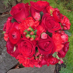 Ranunculus Bulbs Red Corms Growing Bonsai Roots Rhizomes Tubers Potted Planting Reblooming Fragrant Garden Species Blooms Flower Seeds Plant Gardening
