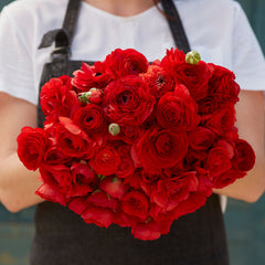 Ranunculus Bulbs Red Corms Growing Bonsai Roots Rhizomes Tubers Potted Planting Reblooming Fragrant Garden Species Blooms Flower Seeds Plant Gardening
