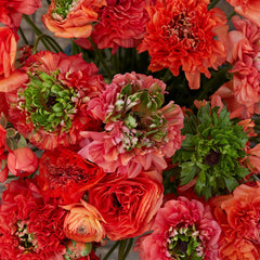 Super Green Orange Ranunculus  Corms Bulbs Growing Bonsai Roots Rhizomes Tubers Potted Planting Reblooming Fragrant Garden Species Blooms Flower Seeds Plant Gardening