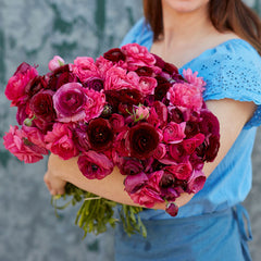 Vineyard Mix Ranunculus Corms Bulbs Persian Buttercup Growing Bonsai Roots Rhizomes Tubers Potted Planting Reblooming Fragrant Garden Species Blooms Flower Seeds Plant Gardening