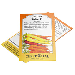 Redsun Carrot