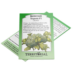 Sequoia Broccoli