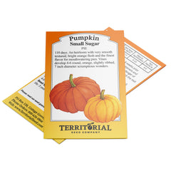 Small Sugar Pumpkin