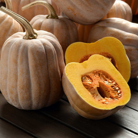 Squash Seeds (Winter) - Autumn Frost