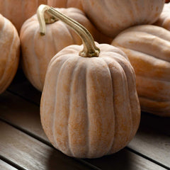 Squash Seeds (Winter) - Autumn Frost