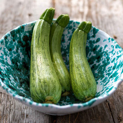 Squash Seeds (Summer) - Caserta