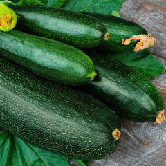 Squash Seeds (Summer) - Dark Green Zucchini