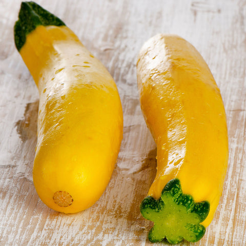 Squash Seeds (Summer) - Early Prolific Straightneck