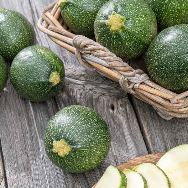 Squash Seeds (Summer) - Round Zucchini