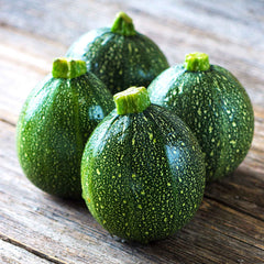 Squash Seeds (Summer) - Round Zucchini